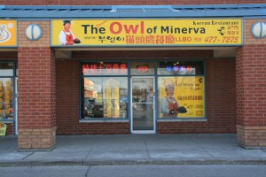 2012314-owl-of-minerva